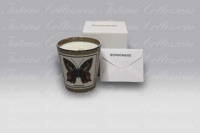 Candela Iconic Papillon Borbonese